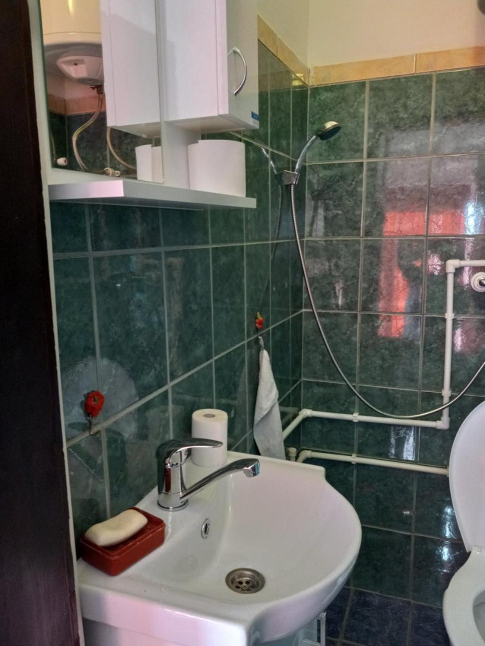 Apartman Sani ドニー・ミラノヴァツ エクステリア 写真